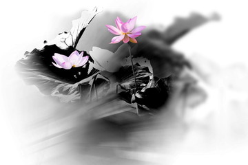 一點(diǎn)紅雨蒙蒙