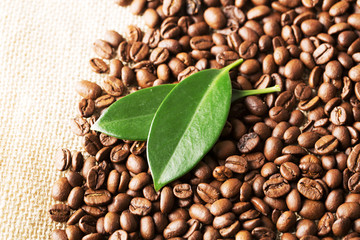 咖啡豆和树叶
