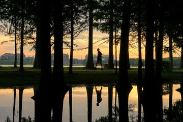 夕阳湖畔树林人影