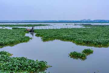 美丽新农村