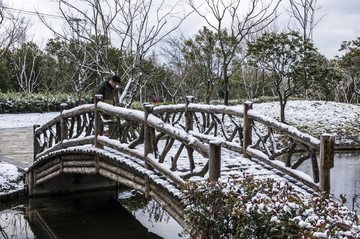 雪景