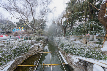 雪后的趵突泉公园 （5）