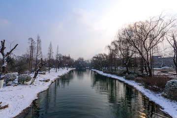 雪后济南大明湖 （16）