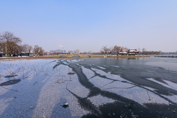 雪后济南大明湖 （35）