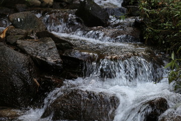 溪水 溪流 小溪 山谷 河流