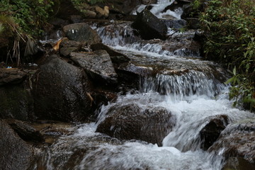 溪水 溪流 小溪 山谷 河流