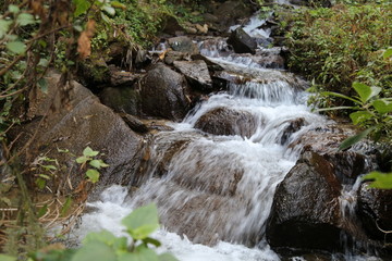 溪水 溪流 小溪 山谷 河流