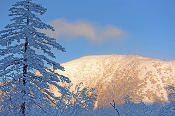 雪乡