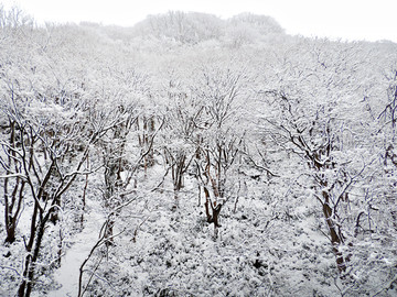 山林积雪 雾凇景色 冬季无框画