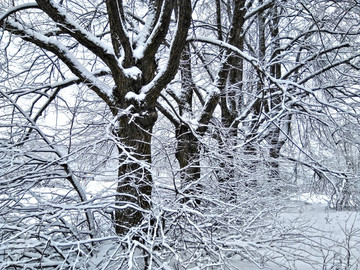 山林积雪 雾凇景色 冬季无框画