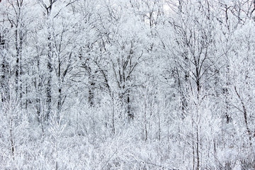 山林积雪 雾凇景色 冬季无框画