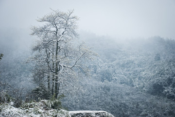 雪景