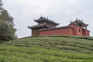 桐寨萨岁祠