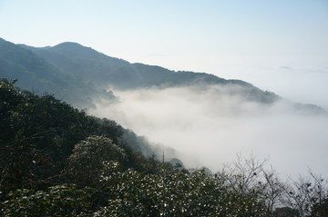 高山