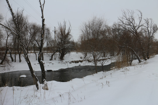 冬雪 树林 河流