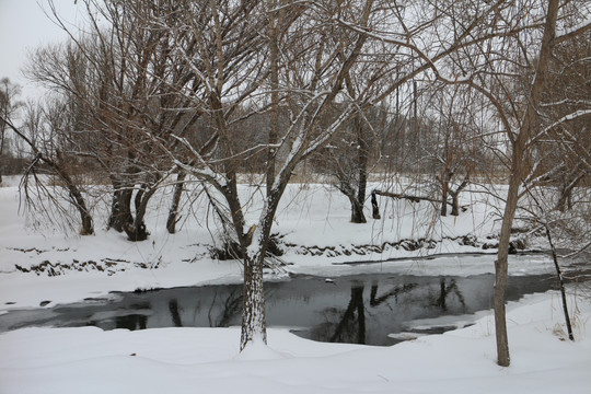冬雪 树林 河流