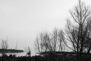 湖泊风景