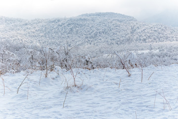 雪山