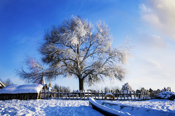 雪景雾凇东北农家