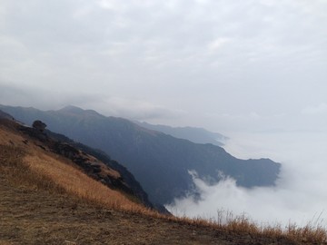 江西武功山云中高山草甸