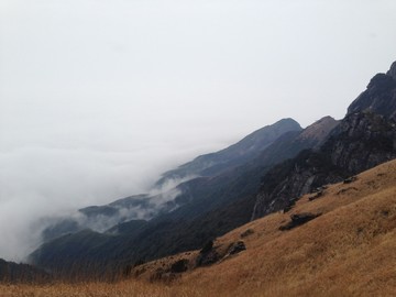 江西武功山云中高山草甸