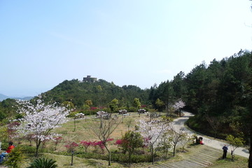 樱花园