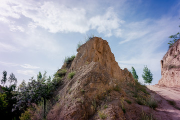 黄土高原