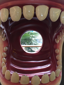 鲨鱼牙齿 雕塑
