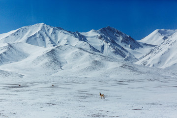 雪山