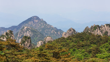 安徽黄山 黄山 山峰 山岳