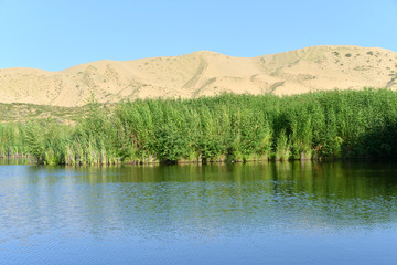 白沙湖景区