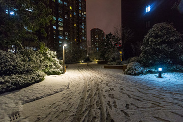 雪景