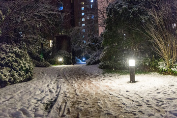 雪景