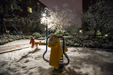 雪景