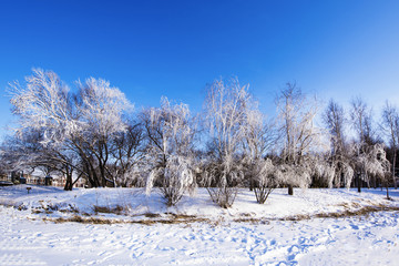 雾凇雪景 雾凇岛雾凇