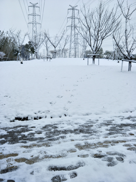 雪地