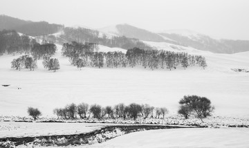 杨树背雪原