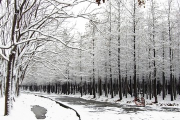 江南雪韵