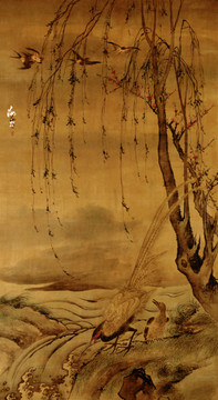 汪肇柳禽白鷴圖