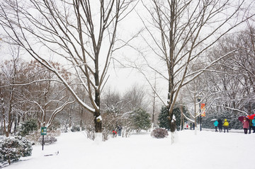 雪景