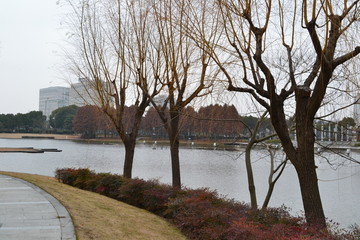 上海金山区风景