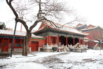 故宫雪景 皇宫雪景