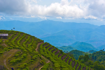 大山