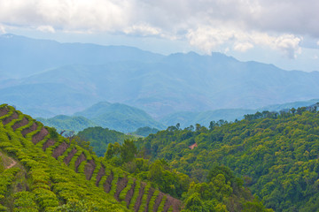 大山