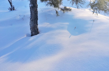 冰雪 光影 雪花 纯洁 秀美