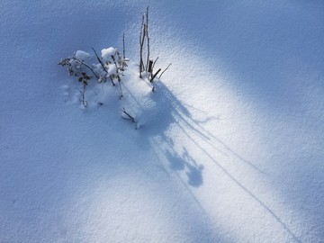 冰雪 光影 雪花 纯洁 秀美