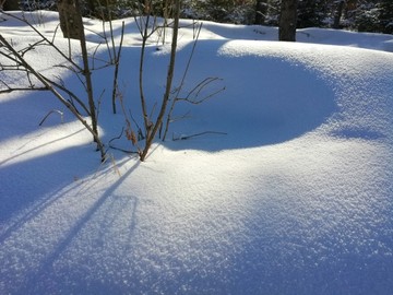 冰雪 光影 雪花 纯洁 秀美