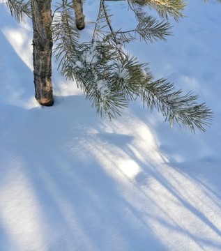 冰雪 光影 雪花 纯洁 秀美