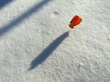 冰雪 光影 雪花 纯洁 秀美