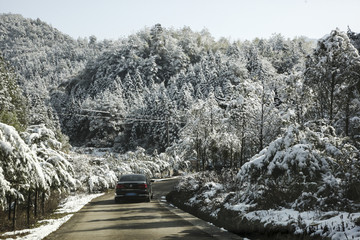 浦城雪景